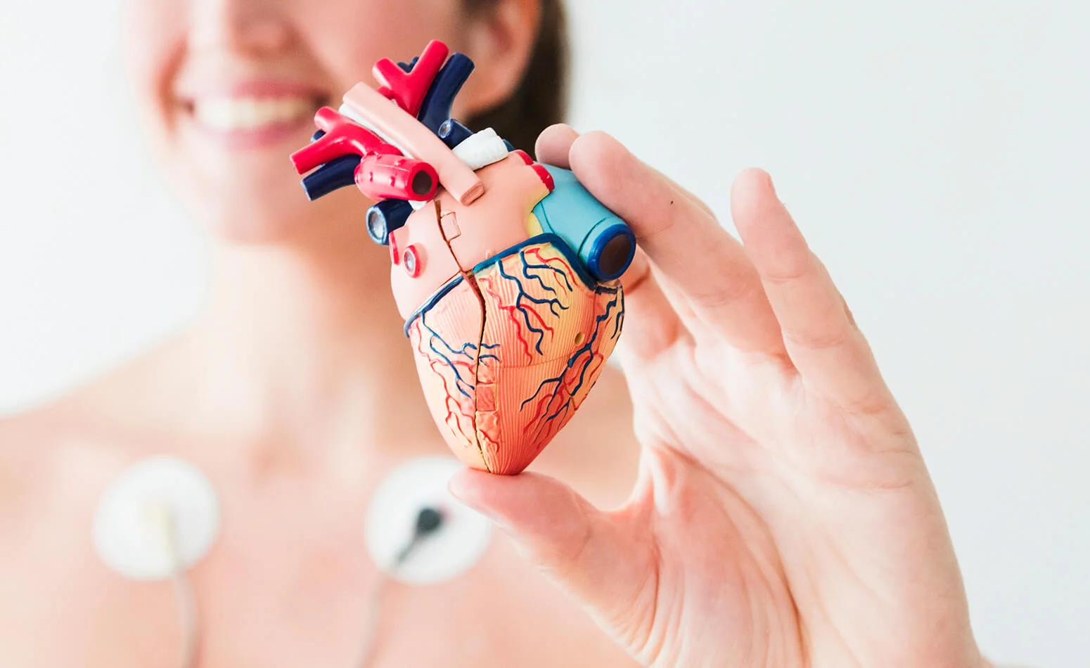 Roosevelt Cardiovascular Diagnostic