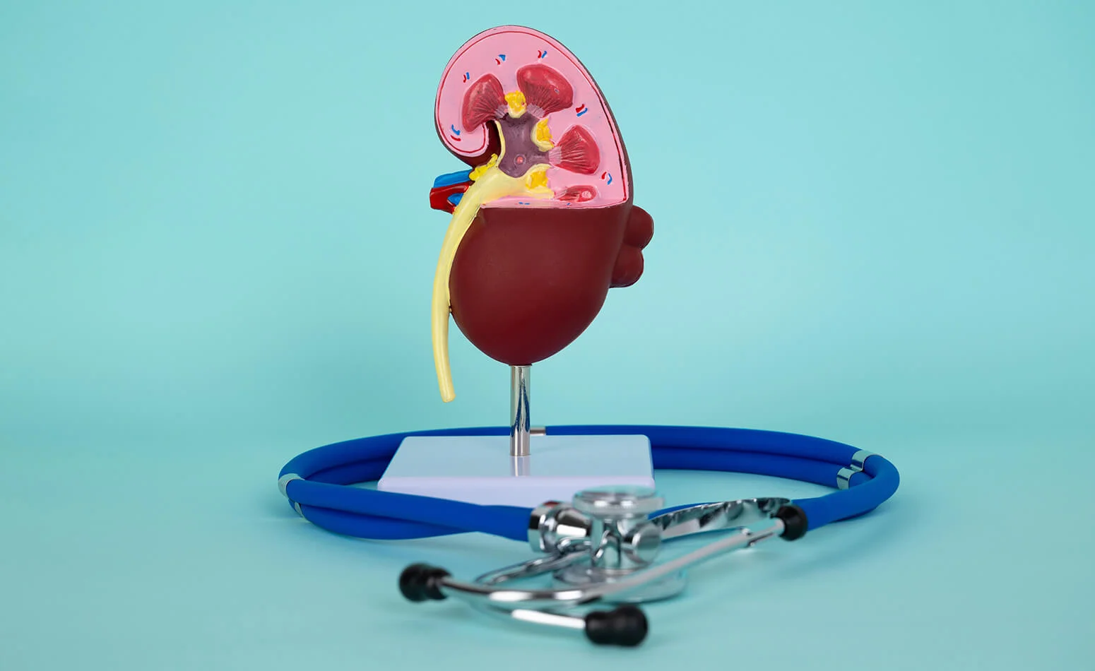 Roosevelt Cardiovascular Diagnostic