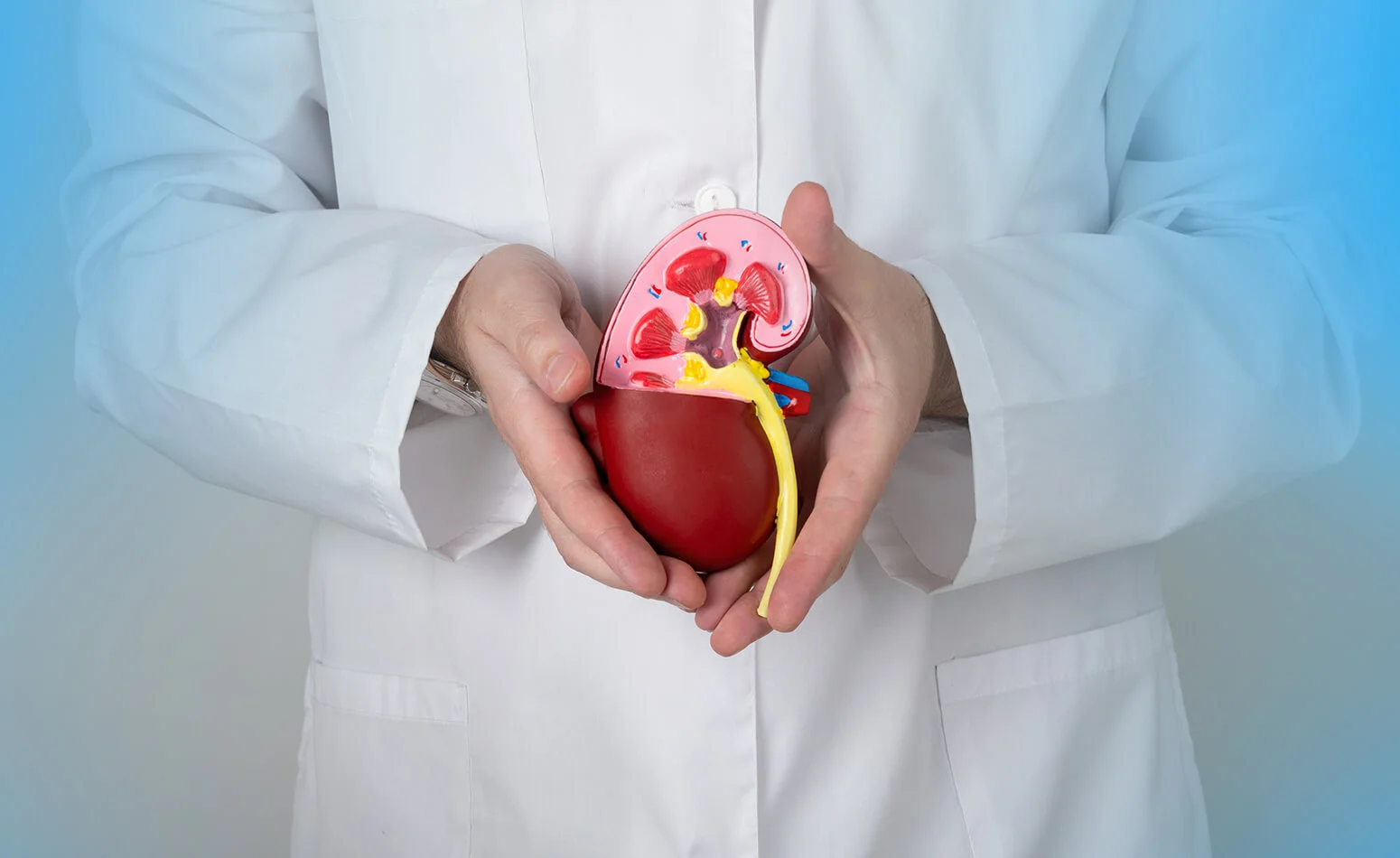 Roosevelt Cardiovascular Diagnostic